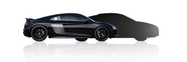 DUO Audi R8 V10 + car choice